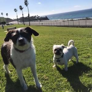 Meet your Posher, Sailor